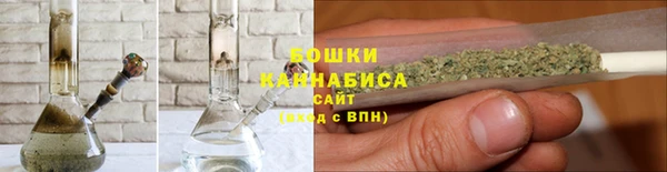 PSILOCYBIN Зеленодольск