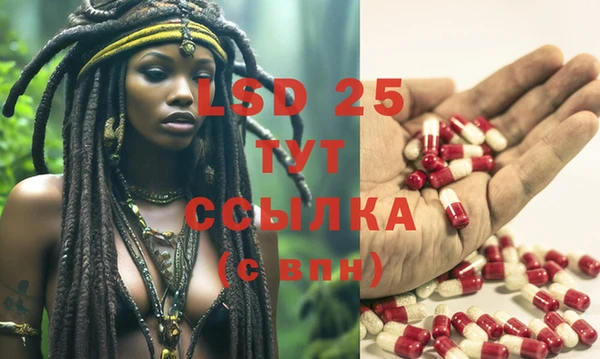 стаф Иннополис