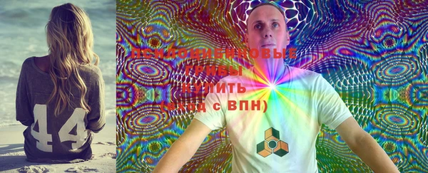 PSILOCYBIN Зерноград