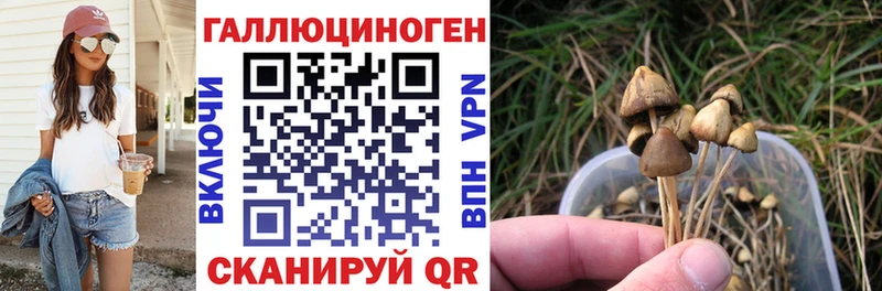 Псилоцибиновые грибы MAGIC MUSHROOMS  Купить закладки  Дедовск 
